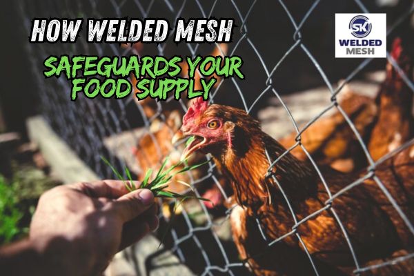 Welded Mesh