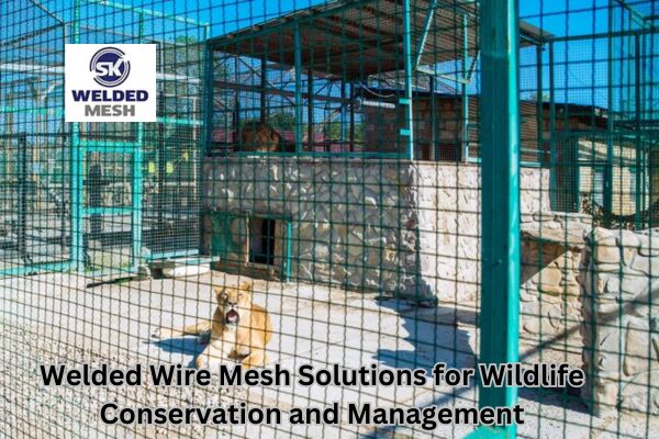 Welded wire Mesh