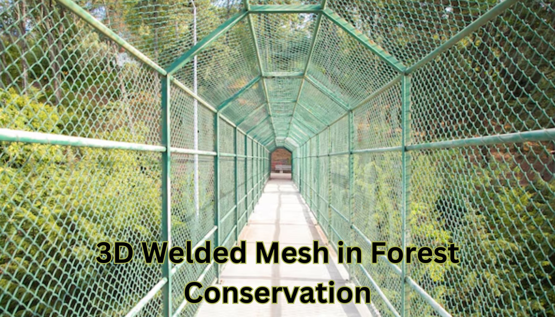 3D Welded Mesh in Forest Conservation